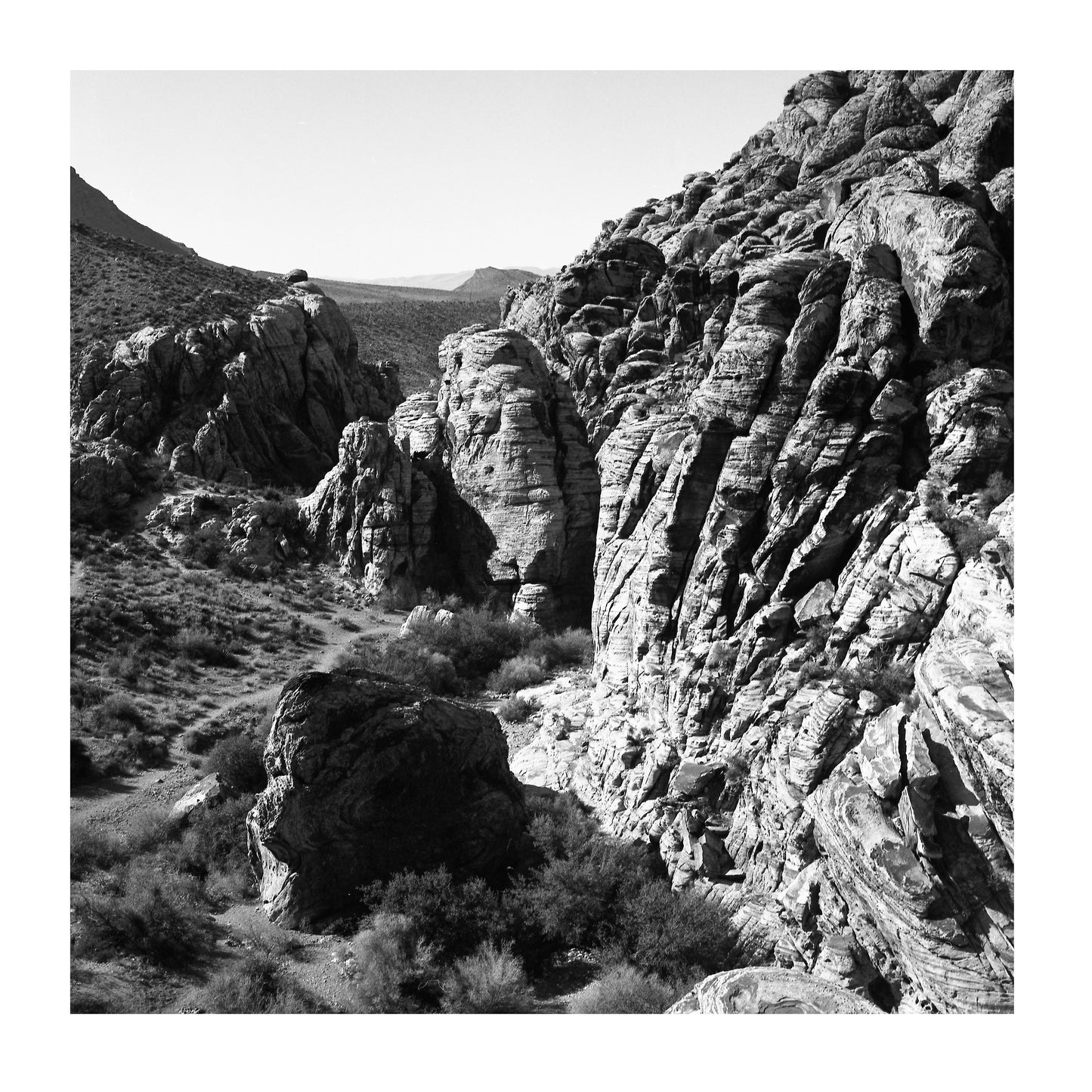 "Nevada Edition 2" Limited Edition Colour Film Photo Print By Noah Mcclelland