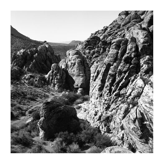 "Nevada Edition 2" Limited Edition Colour Film Photo Print By Noah Mcclelland